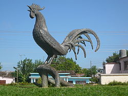 moron-rooster