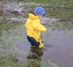 puddle