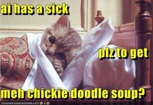 chickie-doodle